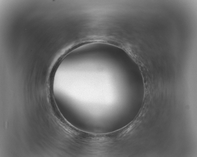 X0000067520342200604150205