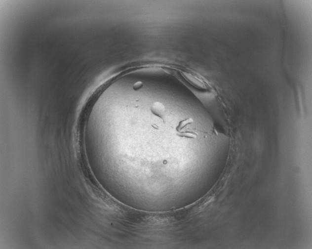 X0000067520343200604150205