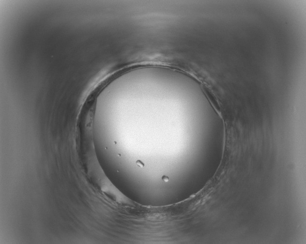 X0000067520344200604150205