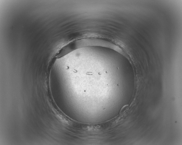 X0000067520345200604150205