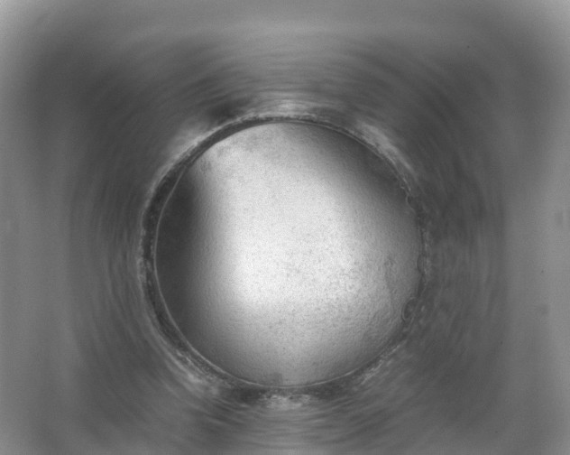 X0000067520346200604150205