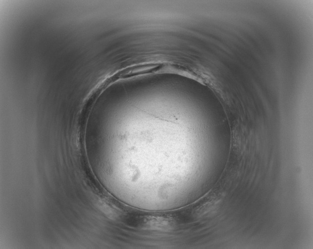 X0000067520347200604150205