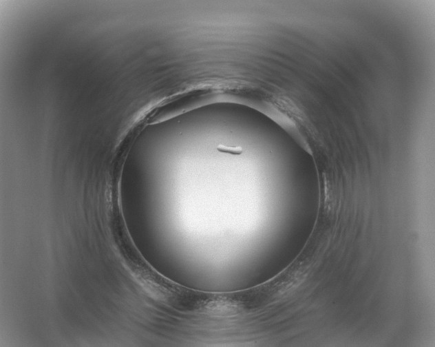 X0000067520348200604150205