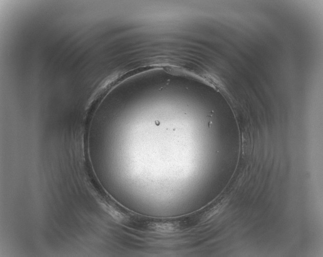 X0000067520349200604150205