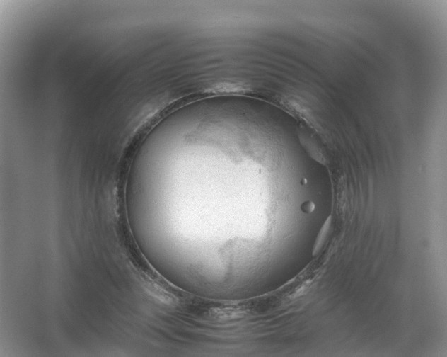 X0000067520351200604150205