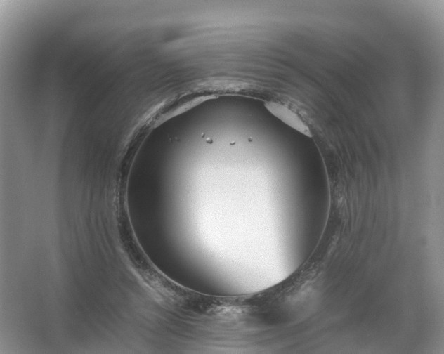 X0000067520352200604150205