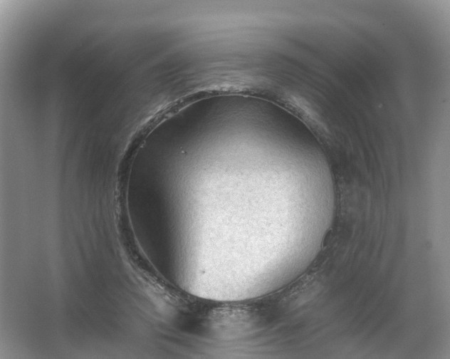 X0000067520354200604150206