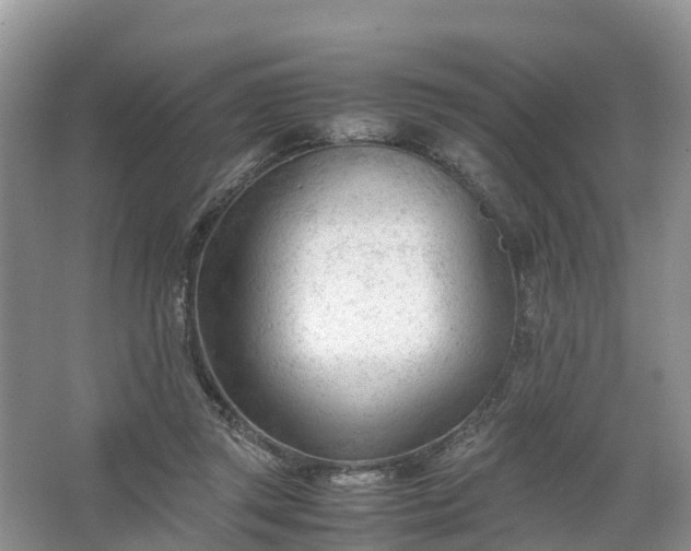 X0000067520357200604150206