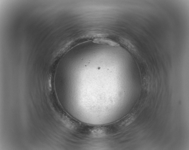 X0000067520358200604150206