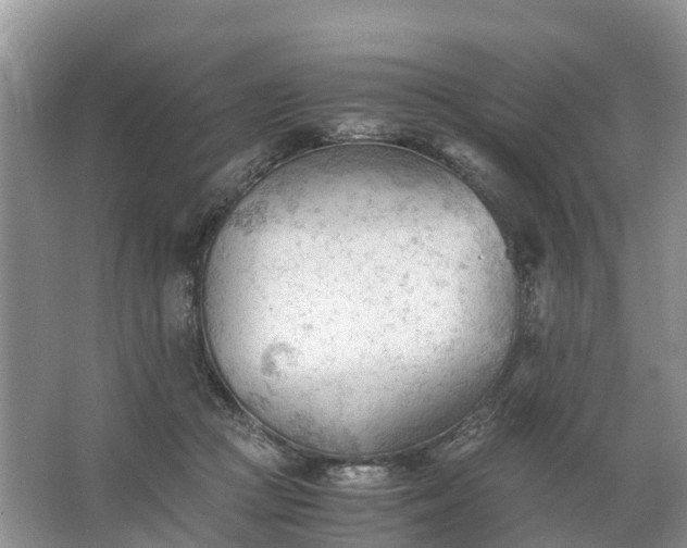 X0000067520361200604150206