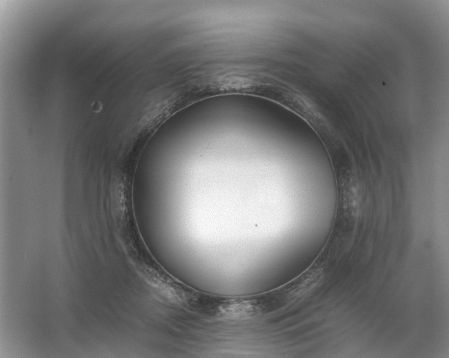 X0000067520362200604150206