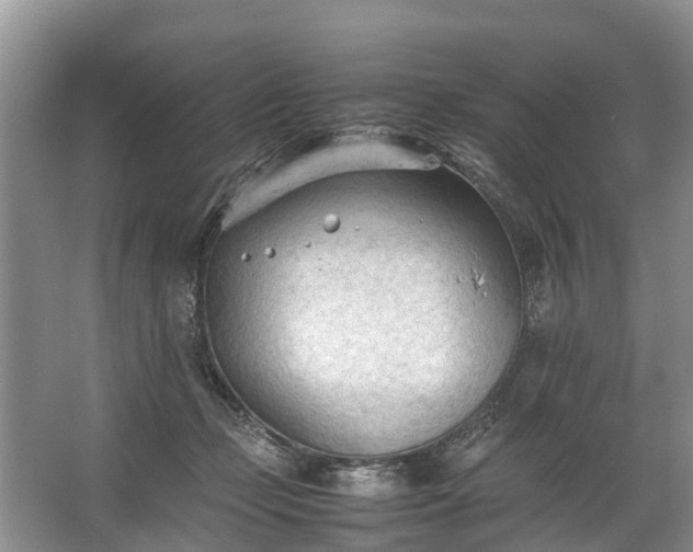 X0000067520365200604150206