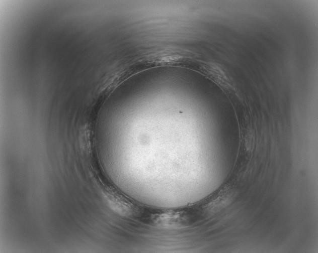 X0000067520366200604150206