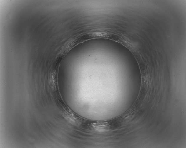 X0000067520373200604150206