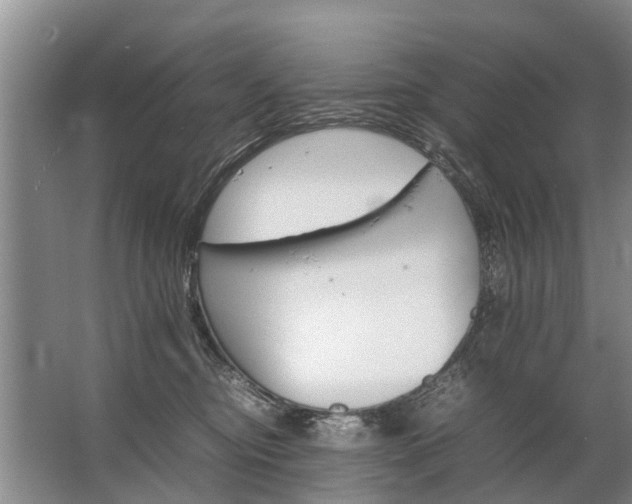 X0000067520374200604150206