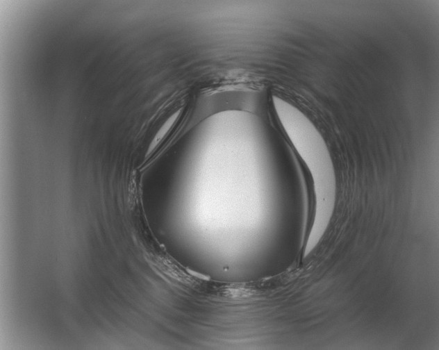 X0000067520376200604150206