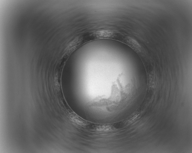 X0000067520377200604150206