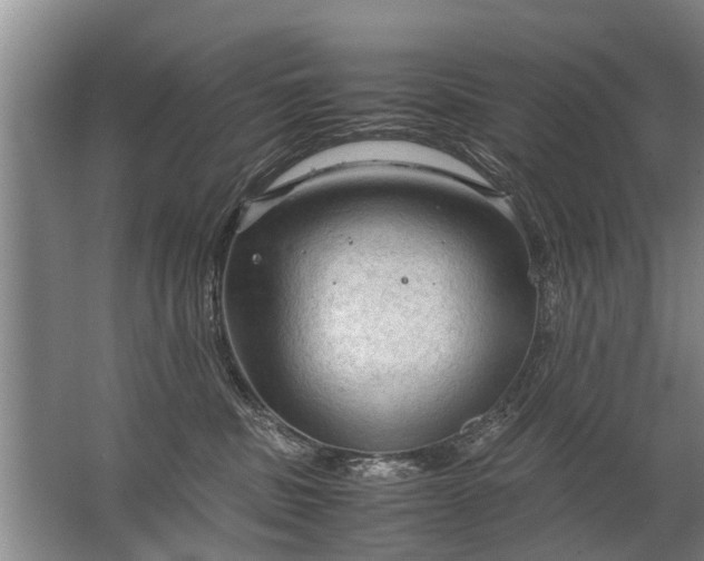 X0000067520379200604150206