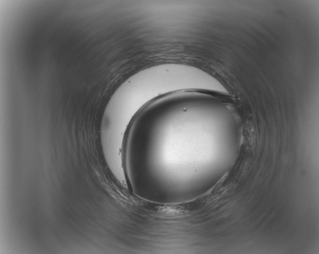 X0000067520380200604150206