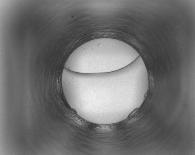 X0000067520381200604150206