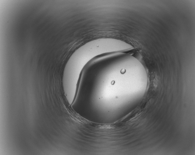 X0000067520383200604150206