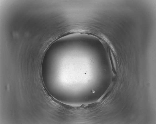 X0000067520385200604150205