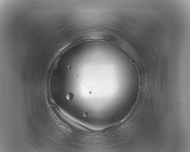 X0000067520386200604150205