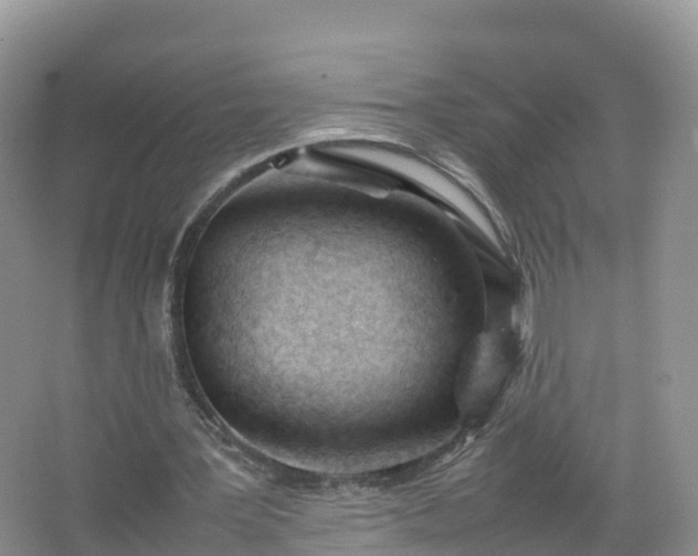 X0000067520387200604150205