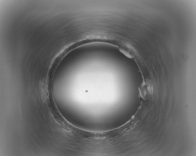 X0000067520388200604150205