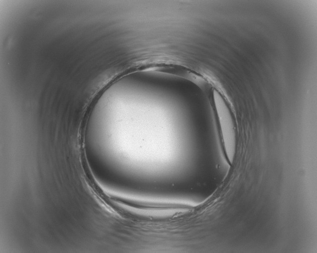 X0000067520389200604150205