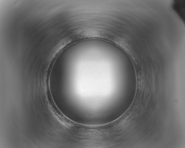 X0000067520390200604150205