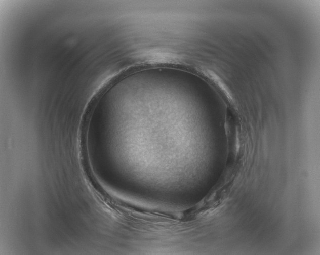 X0000067520391200604150205