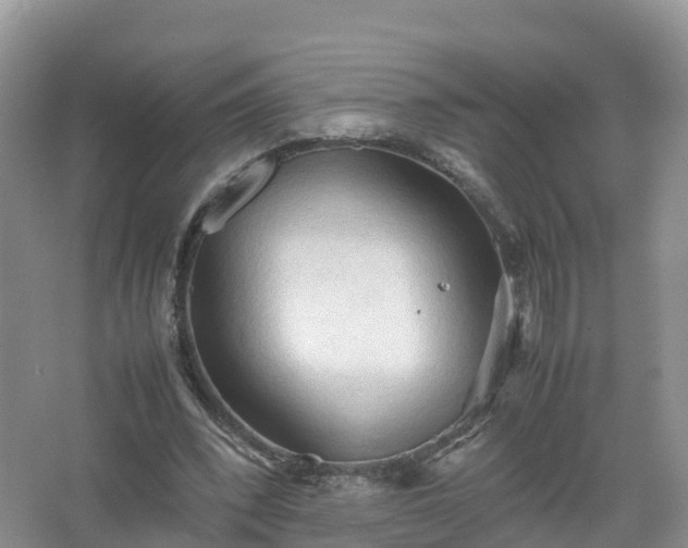 X0000067520392200604150205