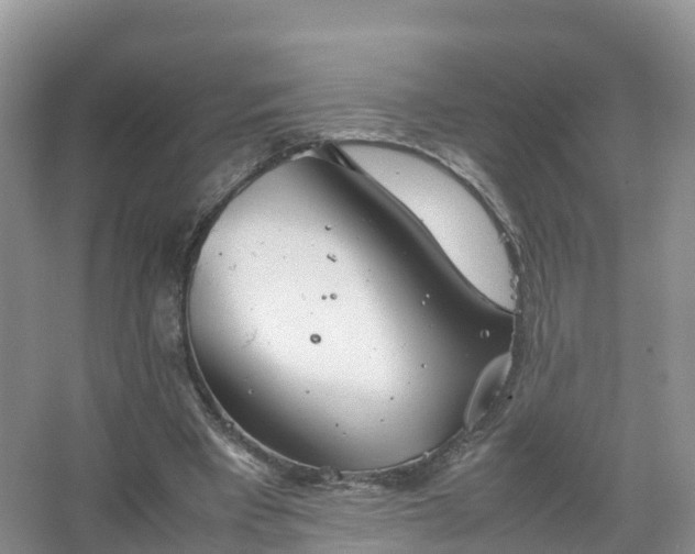 X0000067520393200604150205