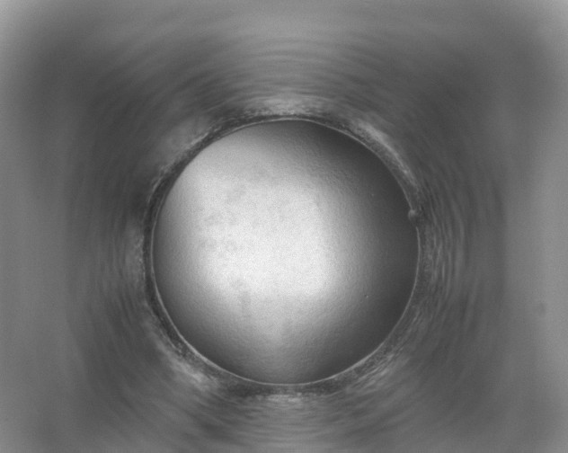 X0000067520394200604150205