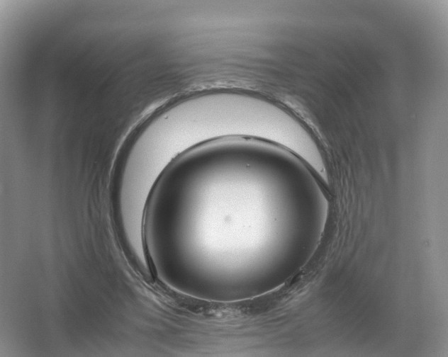 X0000067520395200604150205