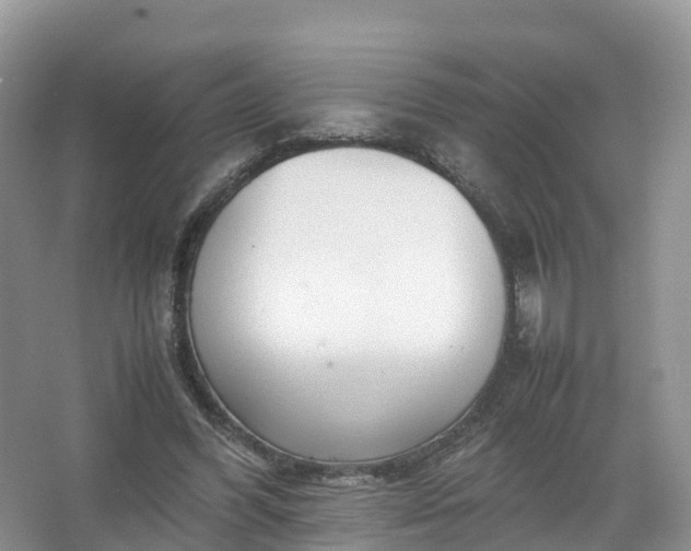 X0000067520396200604150205