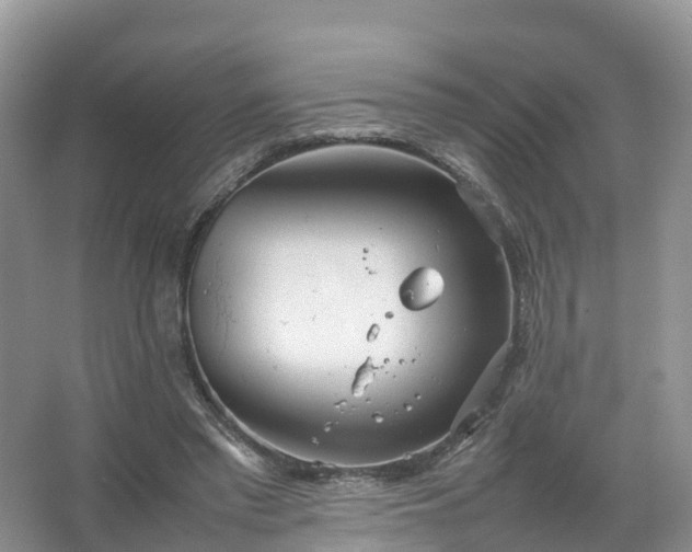 X0000067520397200604150205