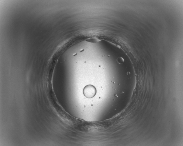 X0000067520400200604150205