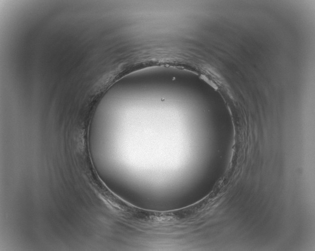 X0000067520401200604150205