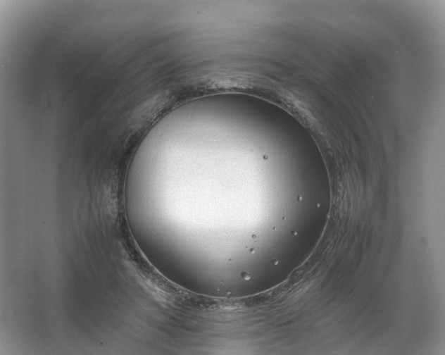 X0000067520402200604150205