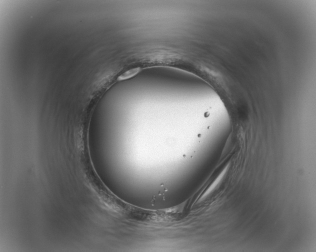 X0000067520403200604150205