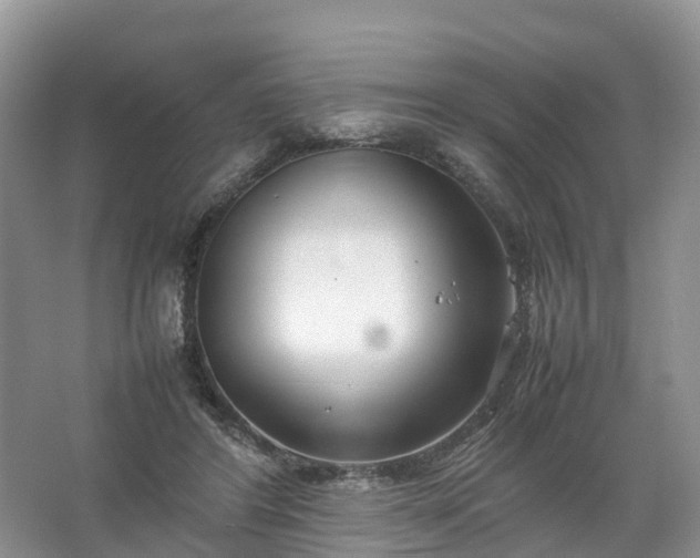 X0000067520404200604150205