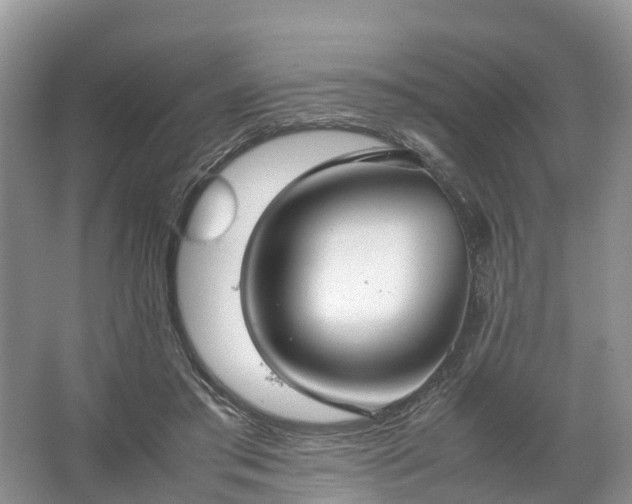 X0000067520405200604150205