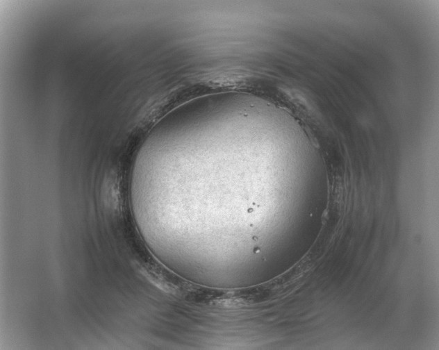 X0000067520408200604150205