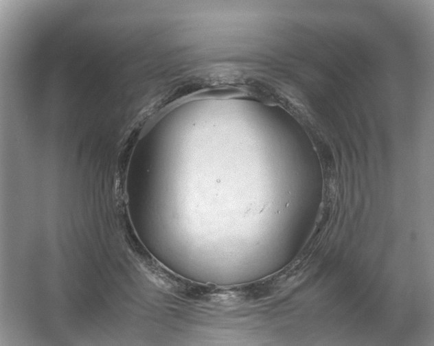 X0000067520411200604150205