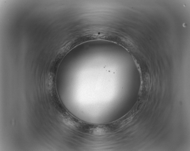 X0000067520412200604150205