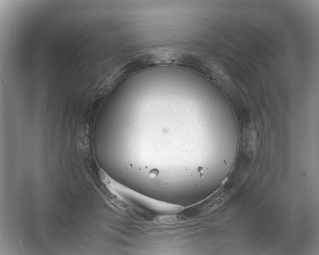 X0000067520413200604150205