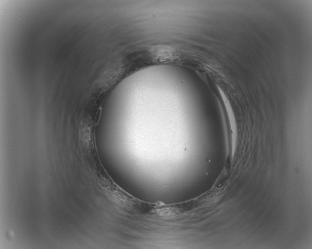 X0000067520417200604150205