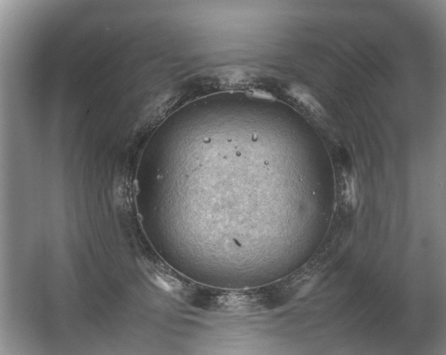 X0000067520419200604150205